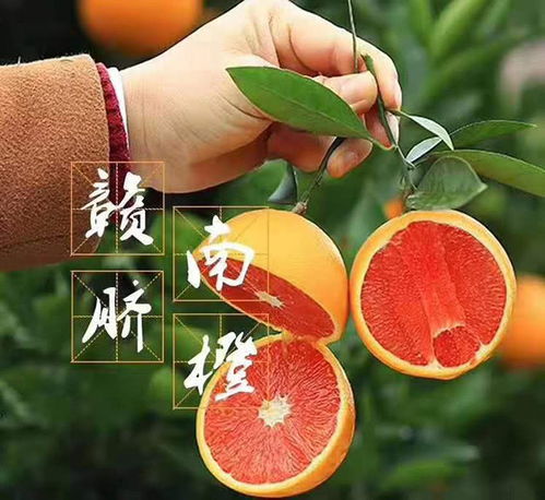 回家过年,装满情怀