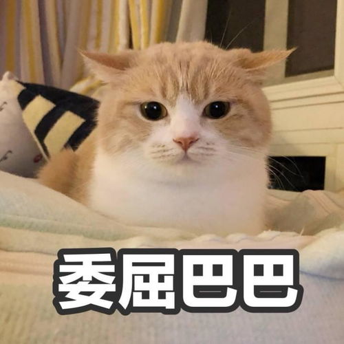 王云才的景观生态规划原理怎么复习,好抽象,求解答
