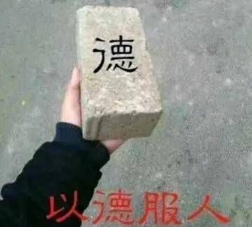 以德服人表情包德国幸运落败者
