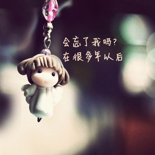 来生不做痴情人dj大狗高音质在线试听来生不做痴情人歌词歌曲下载酷狗音乐