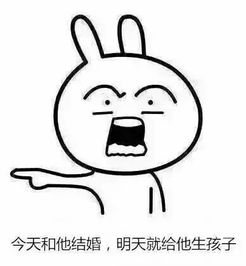 微信恶搞兔子带字表情包嫁娶版