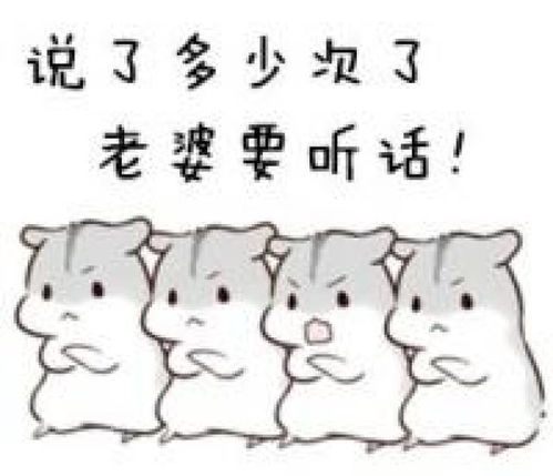 哄老婆表情包大全老婆大人对不起好喜欢老婆我老婆超级可爱