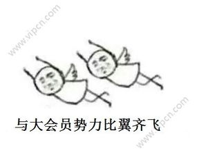 大会员势力登场表情包下载大会员势力登场表情包软件下载v1.0下载清风安卓软件网