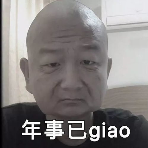 了不起的giao家军