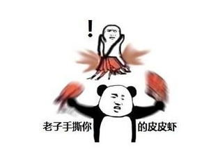打匹配表情包皮皮虾