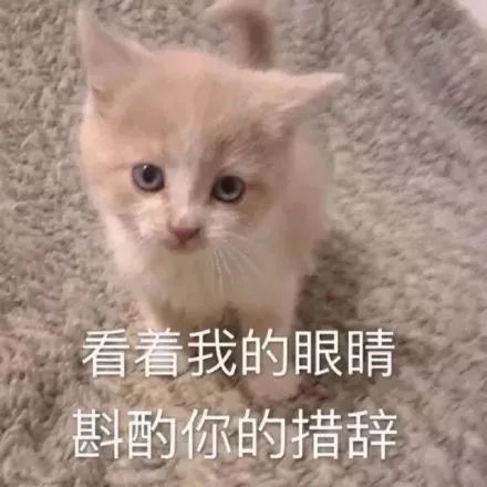 放弃吧,你看起来正好就是在说你胖
