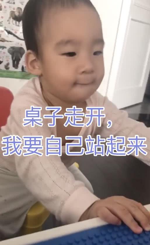 谢楠晒二胎日常,弟弟生气变表情包太像吴所谓,成全家的快乐源泉