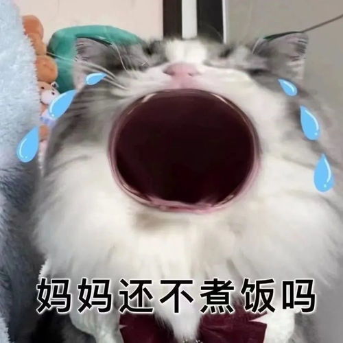妈宝女快快用起来吧