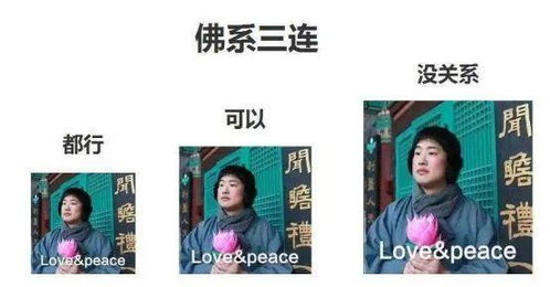 作为一佛系青年,表达态度时会用到这些表情包你中几个