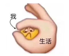 北京最贵的15样东西,竟然看哭了果然贫穷限制了想象力...
