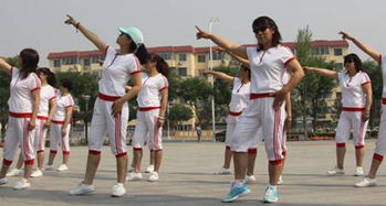 广场舞大妈表情包图片假人挑战