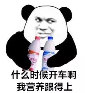生活表情包搞笑熊猫