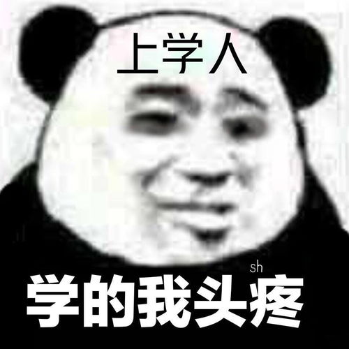 表情包当初我学会网购,是为了省钱
