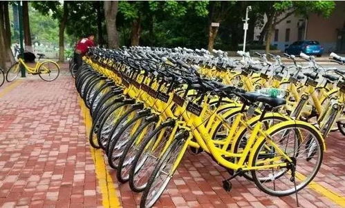 本地牛贵阳共享单车汽车雨伞书吧都有了,未来可能还会有