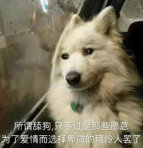 第49期汪表情丨今天不舔你一下,你都不知道什么叫变态