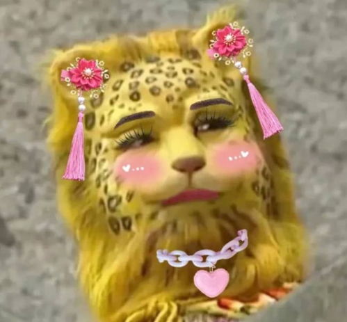 花开富贵头像中年大妈微信头像金钱豹