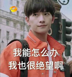 超搞笑表情包动画杨洋