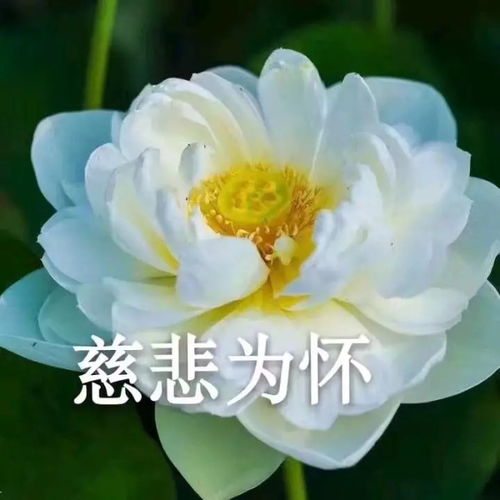 开学刚几天,家长就崩溃了陪孩子做作业就是一道送命题