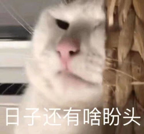 厉圣你快退场吧,出门左拐不送