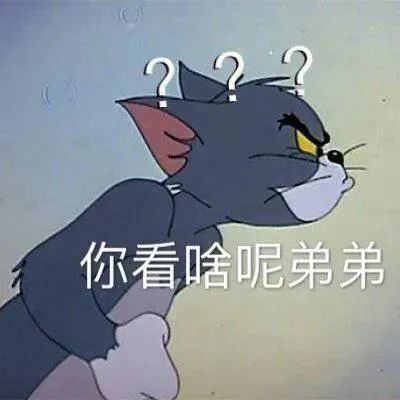 今日份可爱表情包