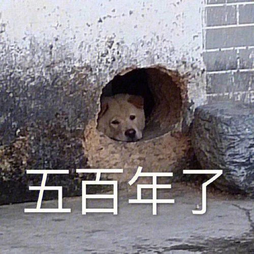 笑话十条幼儿园接小侄女回家,路过炸鸡店跟我说饿了