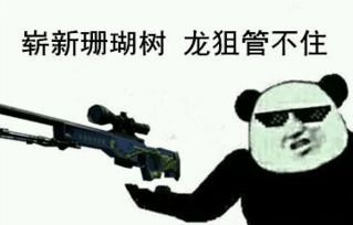 csgo皮肤表情csgo皮肤押韵表情包快吧游戏