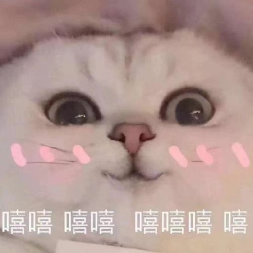 考研后想做的事,我做了份愿望清单