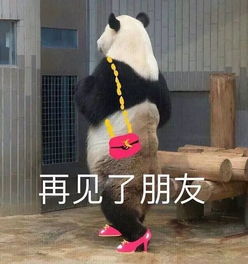 那些支撑我活下去的表情包