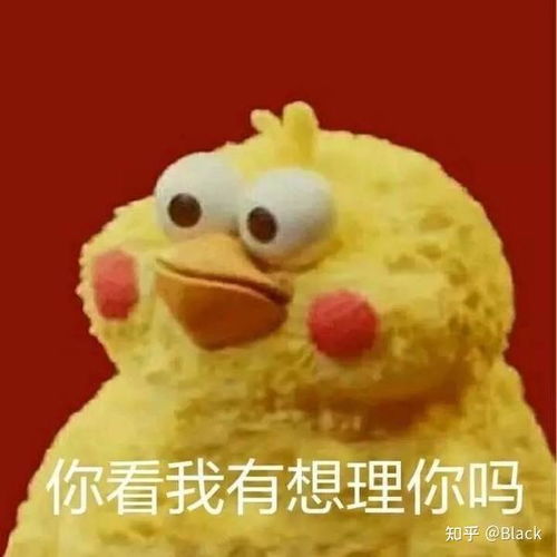 学生党适合的防晒霜