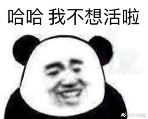 家庭碟中谍,腹黑父女相互插刀记感谢哈友的震撼...