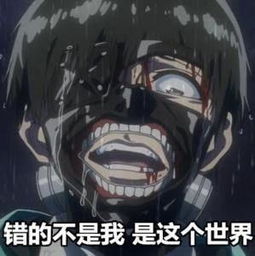 金木小天使表情包全
