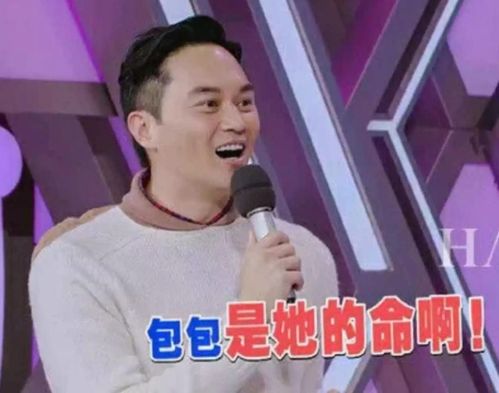 张智霖袁咏仪北上掘金,不断宣扬买包宠妻,香港网友教坏小朋友