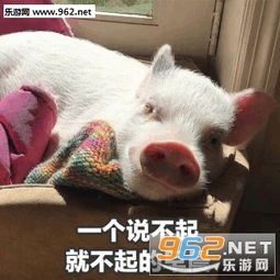 一张说胖就胖的脸表情包图片一个说不睡就不睡的深夜表情包下载乐游网游戏下载