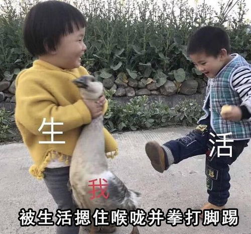 一周输光50万元后的我