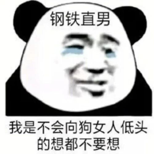 表情包找不到答案的时候就去看一看世界