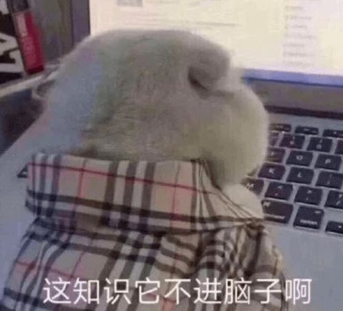 有哪件事几乎可以做到全国统一