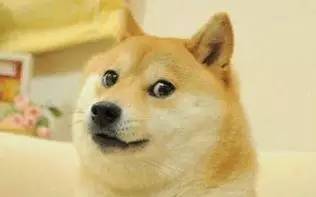 doge表情包微博哈士奇