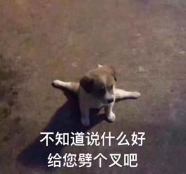 叮你有一份调查问卷,请注意查收有红包领哦