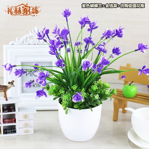 价格品牌推荐怎么样