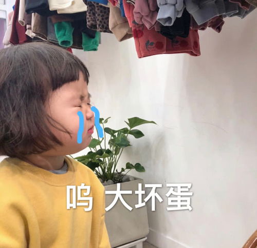 给你抱抱的表情包罗熙