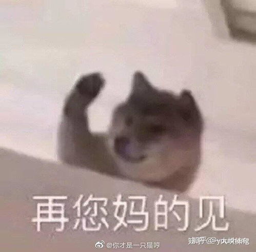 肖战事件会对肖战之后的发展产生什么影响