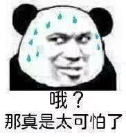 搞笑表情包旺仔小馒头的嫌弃不屑的整理我的高领毛衣