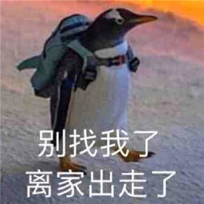 很搞笑的又很热门的微信表情合集很有趣味的笑死人的表情包