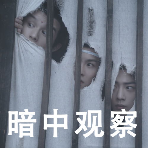 别再追我了表情包本宝宝