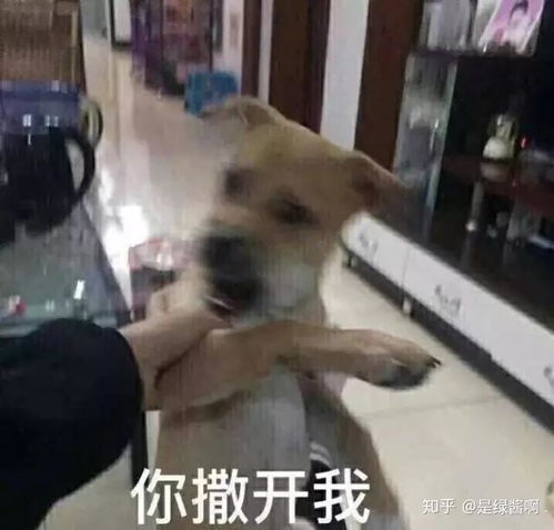 有没有超好用的底妆推荐