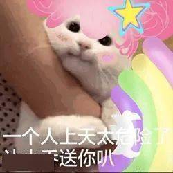 猫猫王者荣耀表情包