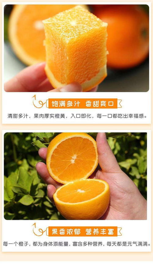 湖南麻阳冰糖橙当季新鲜橙子水果5斤非夏橙脐橙买五送五