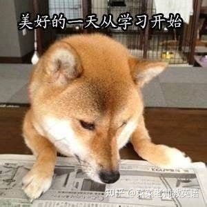 英语口语怎么学