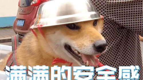 饭局随时约,骑车戴头盔