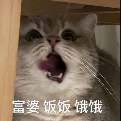 表情包你这话什么意思我不喜欢,撤回